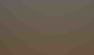 democracy-03-min